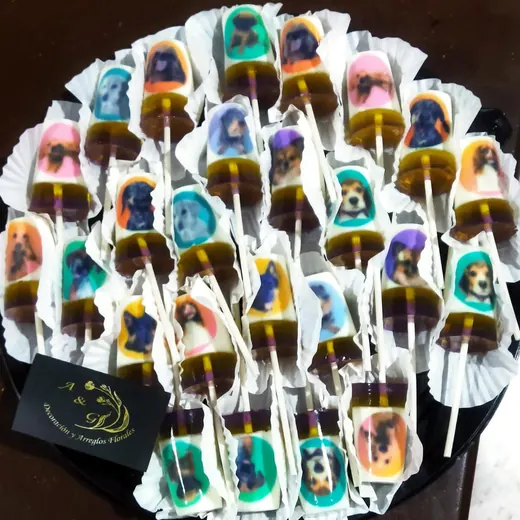 Gelatinas en paleta con fotografías impresas en imagen comestible